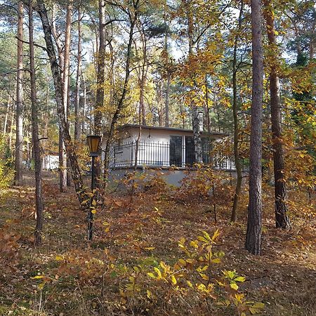 Hausmeise Heidesee Экстерьер фото